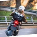 SHAD-TR41-ALU-MOTO