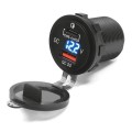 _l-gniazdo-mus12-m-1
