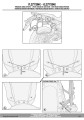 PLO7718MK instrukcja 3