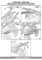plos5151cam_288445_3